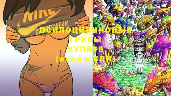 MDMA Заводоуковск