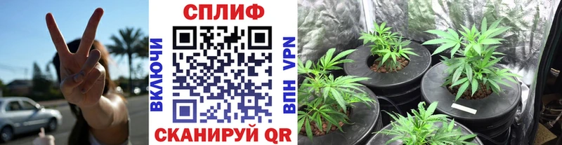 Бошки марихуана план  Купить закладки  Маркс 
